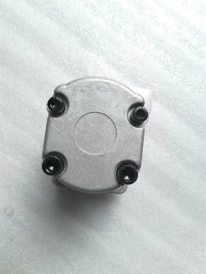 Hydraulic Gear Pump A8V0107 For Crawler Excavator